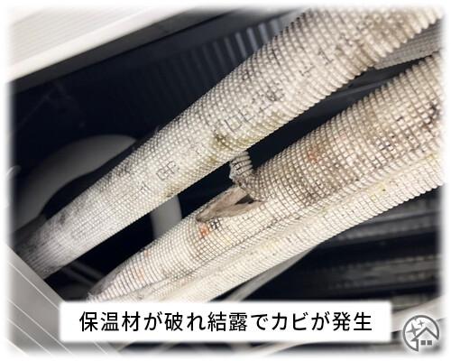 カビのご確認おねがいします （大一産業 臭気・カビ対策 業務用万能消  